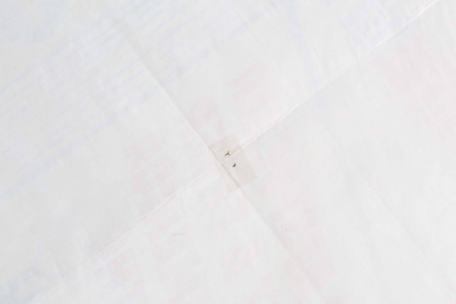 104878-fl_11 104878-fl_11