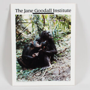 Jane Goodall Signed Poster - COA JSA