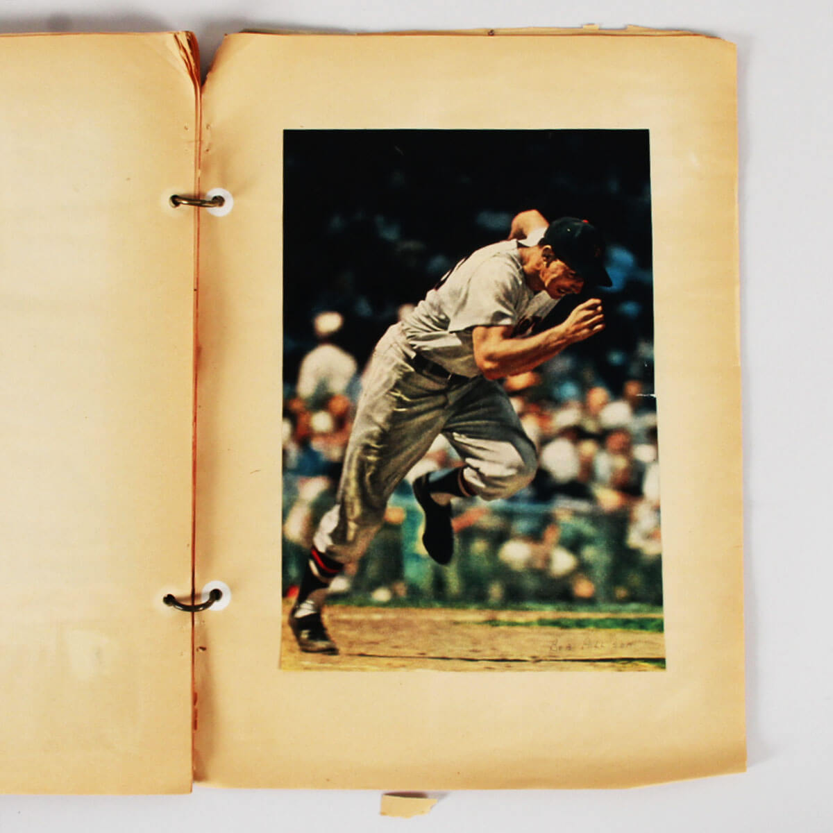 135935-3_25 135935-3_25