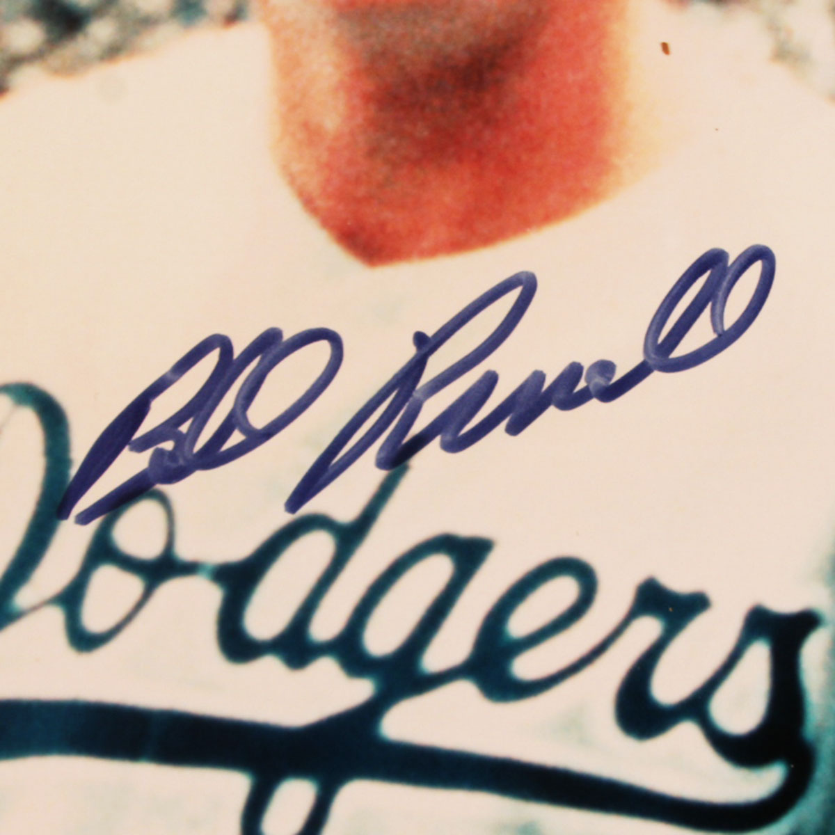 141125-119_03 141125-119_03