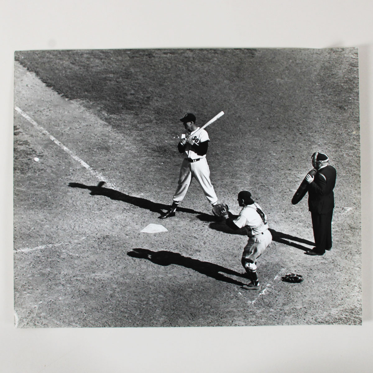 Ted Williams 16x20 Photo 1992 Thomas Maxwell Collection