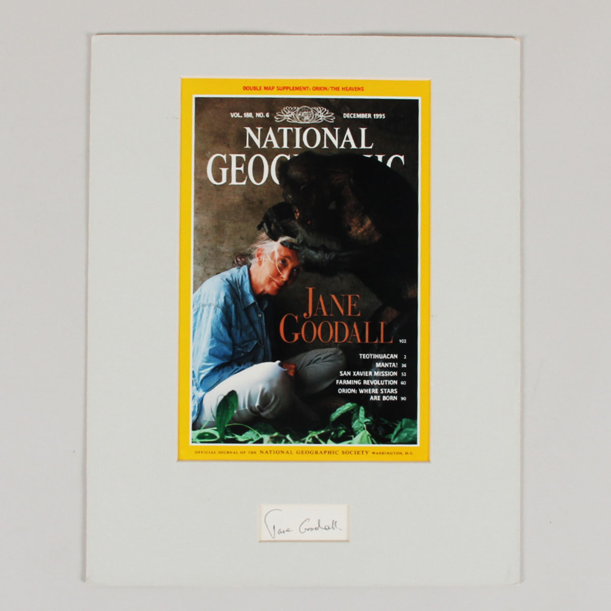 Jane Goodall Signed Cut Matted Display - COA JSA