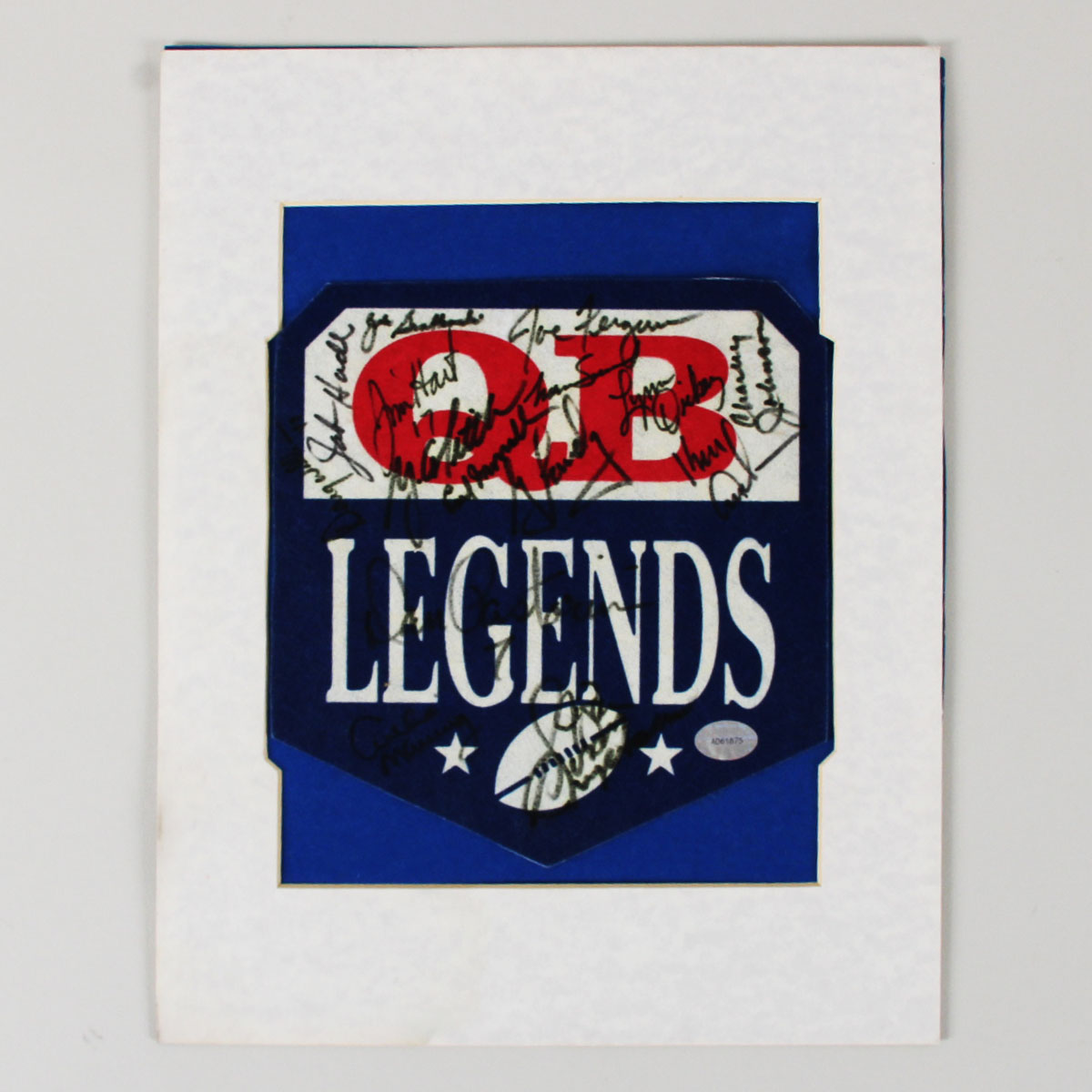 NFL Greats Signed Pennant 15 Sigs. Sonny Jurgenson, Archie Manning, etc. Quarterback Legends  - COA PSA/DNA