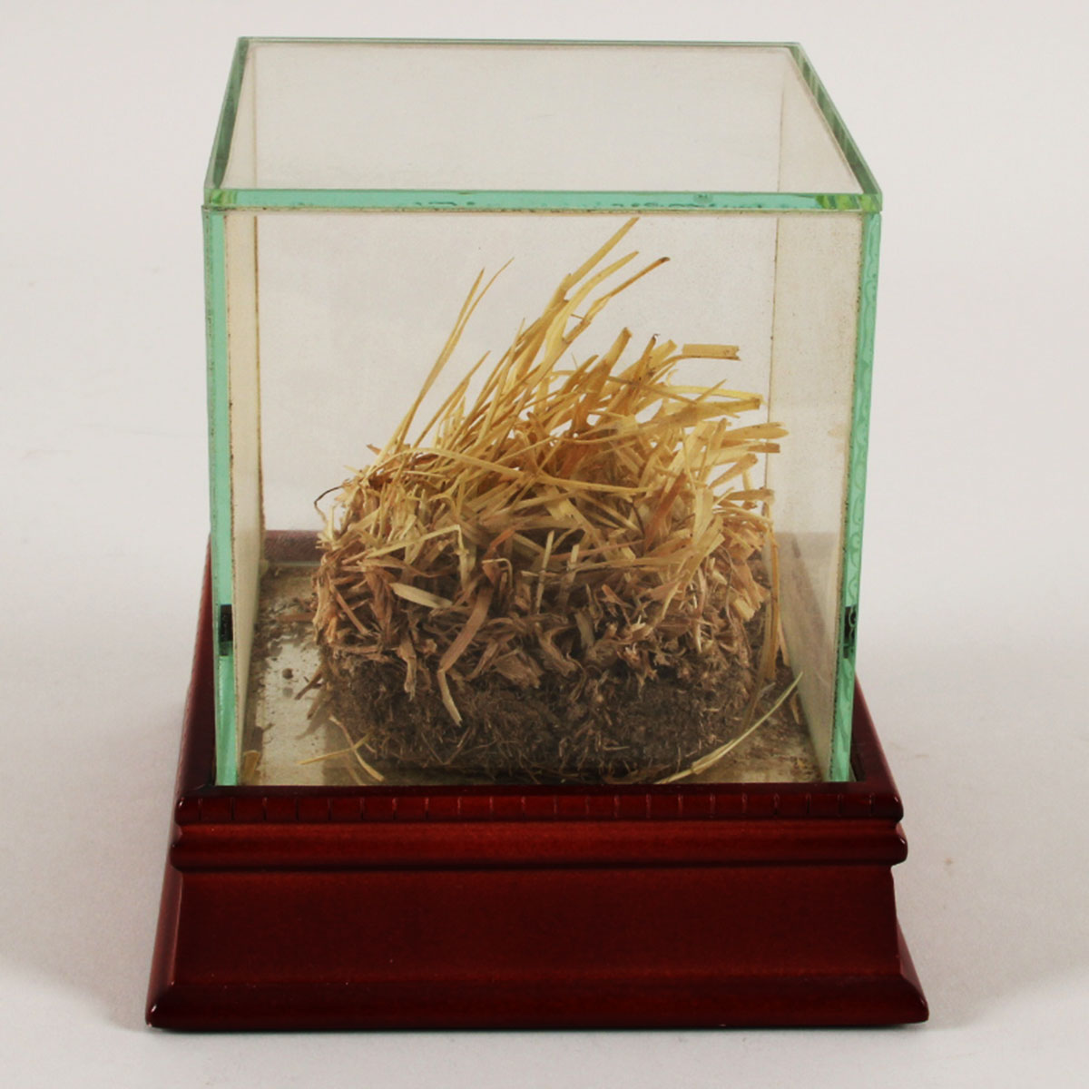 155356-dis_04