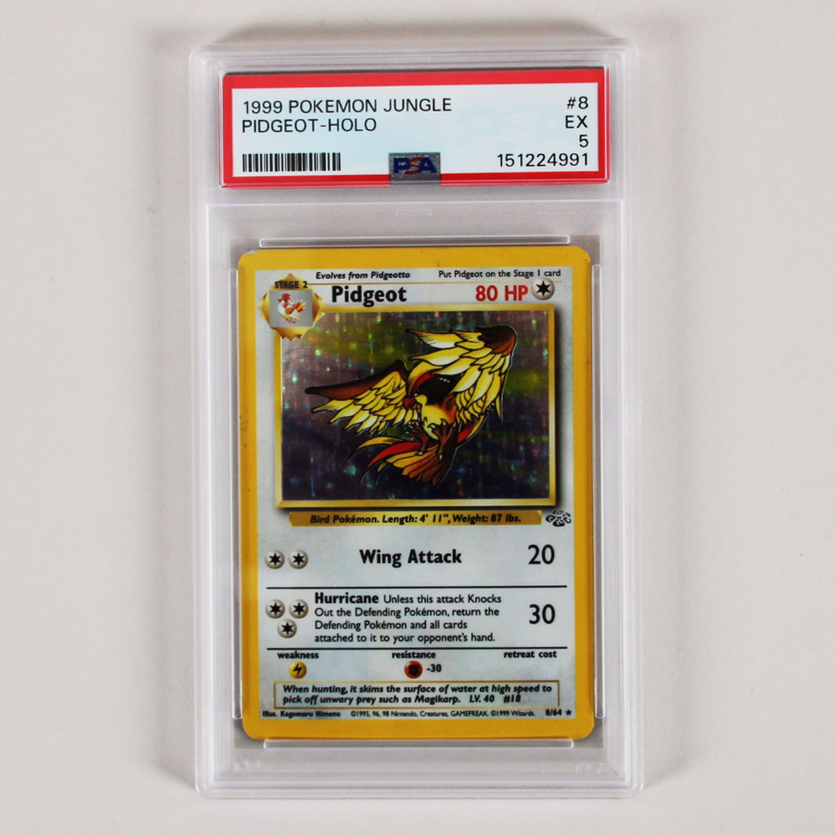 1999 Pokemon Jungle Pidgeot Holo Graded Card #8 PSA 5