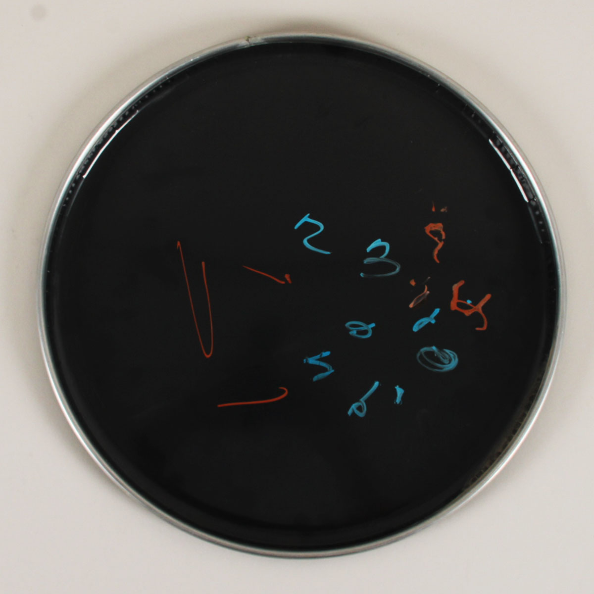 156774-80_07 156774-80_07