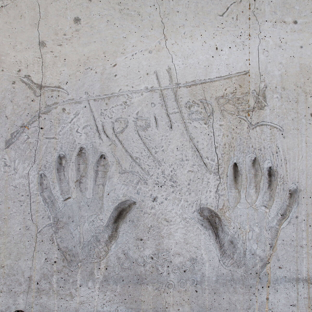 290066-xr_02 290066-xr_02