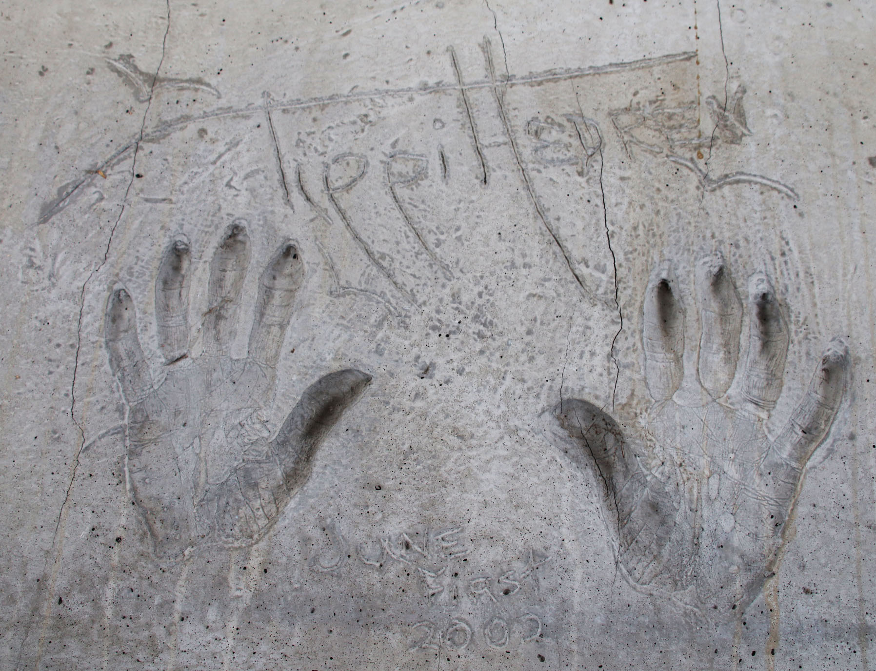 290066-xr_07 290066-xr_07