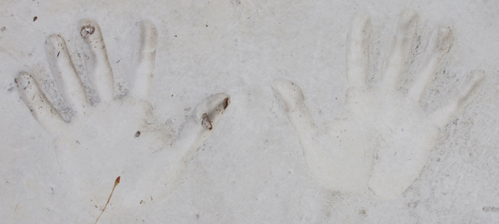 290072-xr_05 290072-xr_05