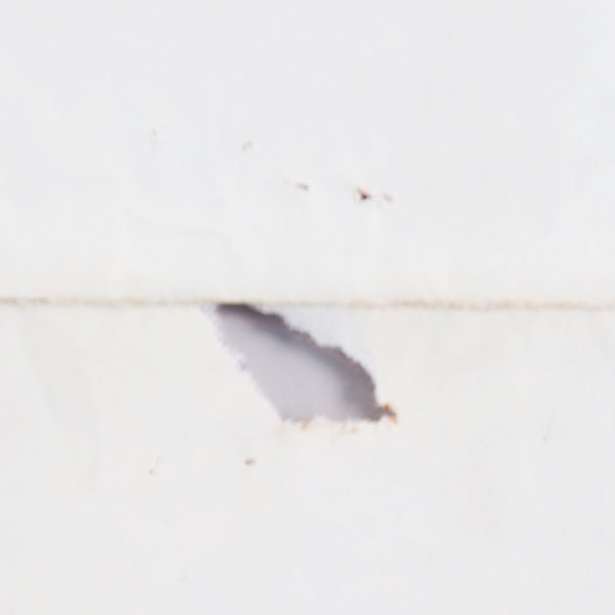 298383-fl_06 298383-fl_06