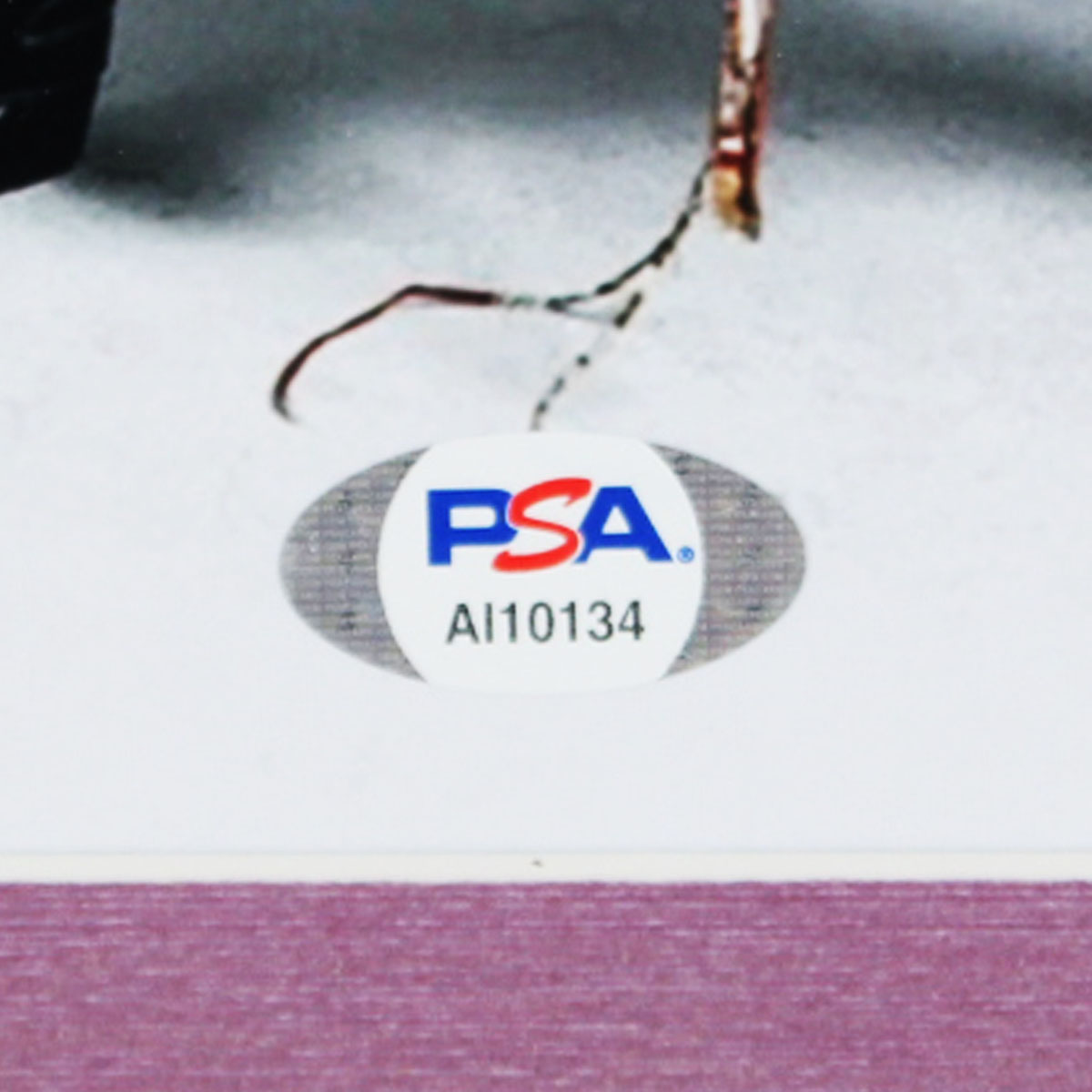 55519-dis_03 55519-dis_03