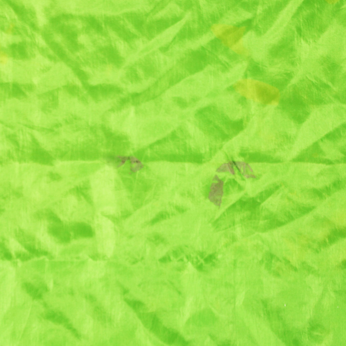 71762-dis_05 71762-dis_05