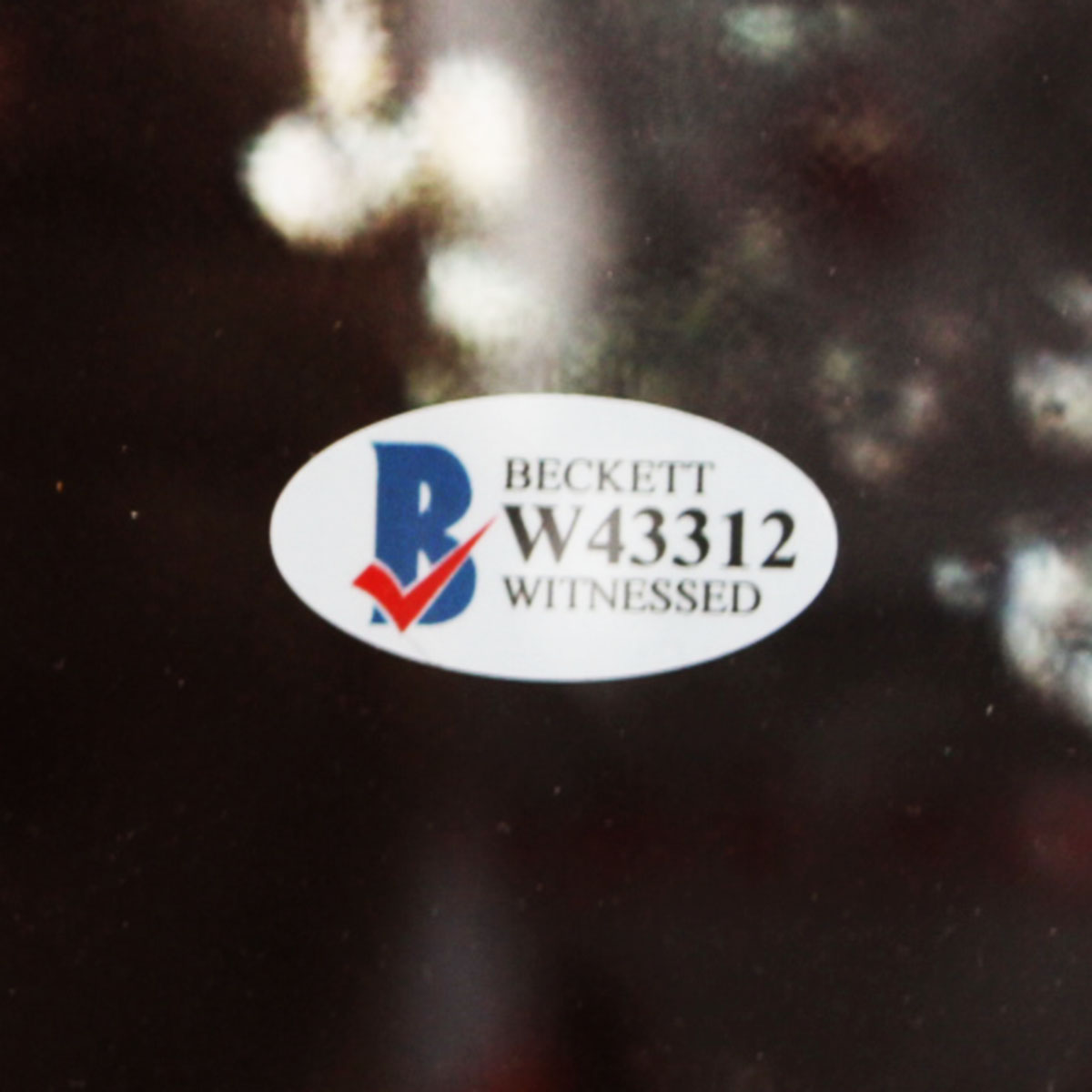 81372-dis_03 81372-dis_03