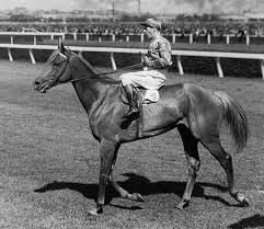 Horse Racing, Rodeo