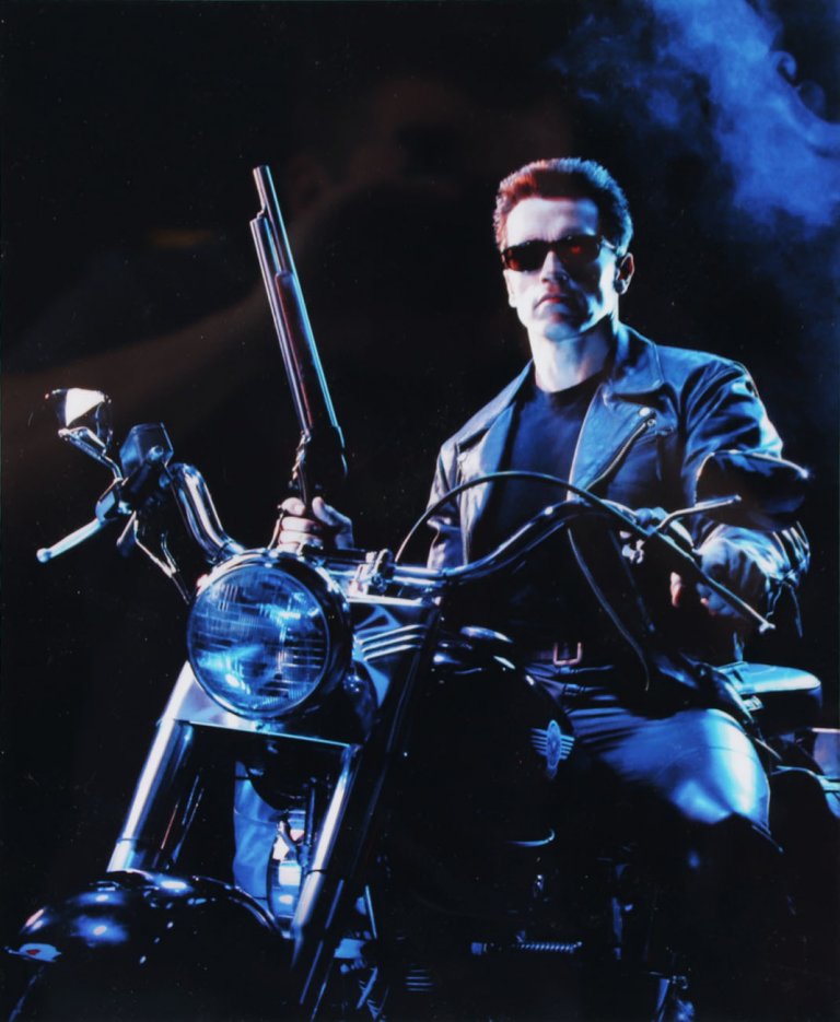 Arnold Schwarzenegger Signed Cut Display Terminator 2 Arnold Schwarzenegger Signed Cut Display Terminator 2